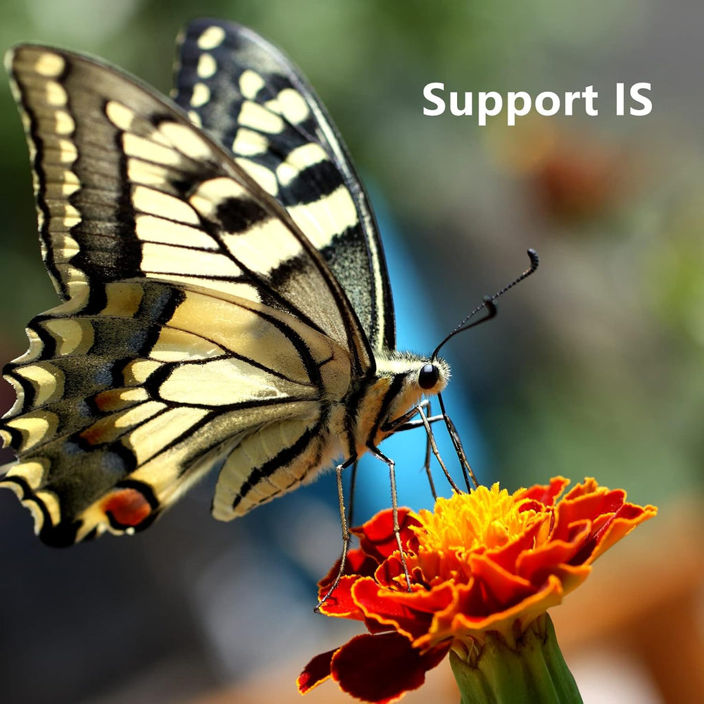 EF-EOS R Lens Adapter Compatible with Canon EF/EF-S Lens for Canon EOS R, EOS RP, EOS R6, EOS R5 Series Cameras, Support Af/Is/Adjustable Aperture/Exif